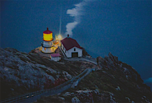 I Vow Not to Disparage the Teachings or My Companions on the Way