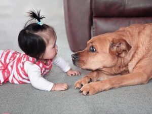 Meeting Just As We Are