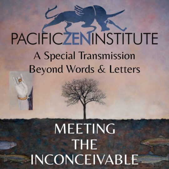 A Special Transmission Beyond Words & Letters with Roshi Allison Atwill