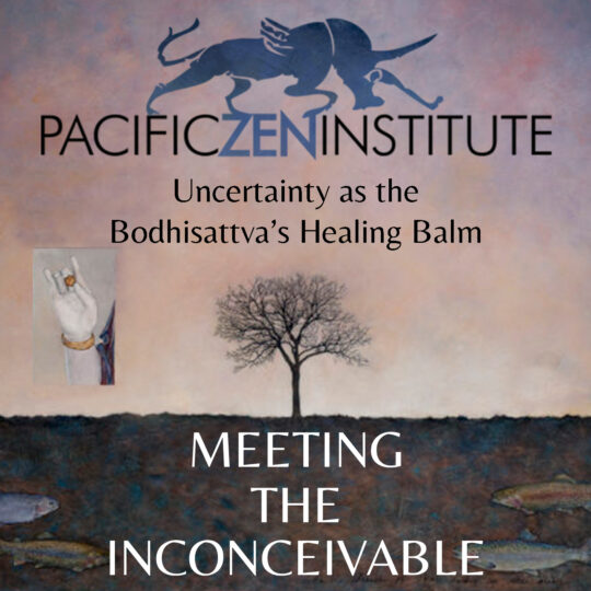 Uncertainty as the Bodhisattva's Healing Balm