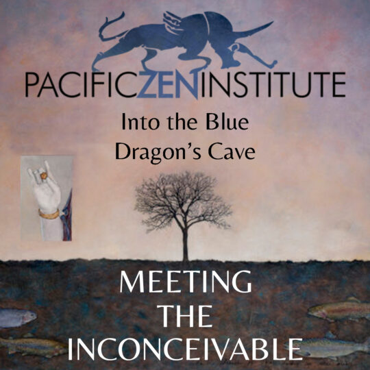 Into the Blue Dragon's Cave with Roshi John Tarrant