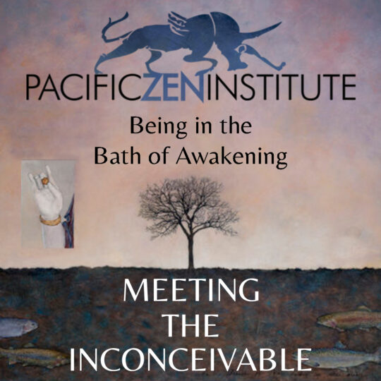 Being in the Bath of Awakening with Jesse Cardin