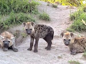 Everyone! There’s Nothing to Worry About – Try to See That!