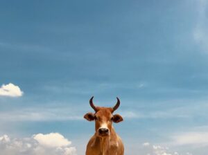 Things Are Not As They Seem, Nor Are They Otherwise